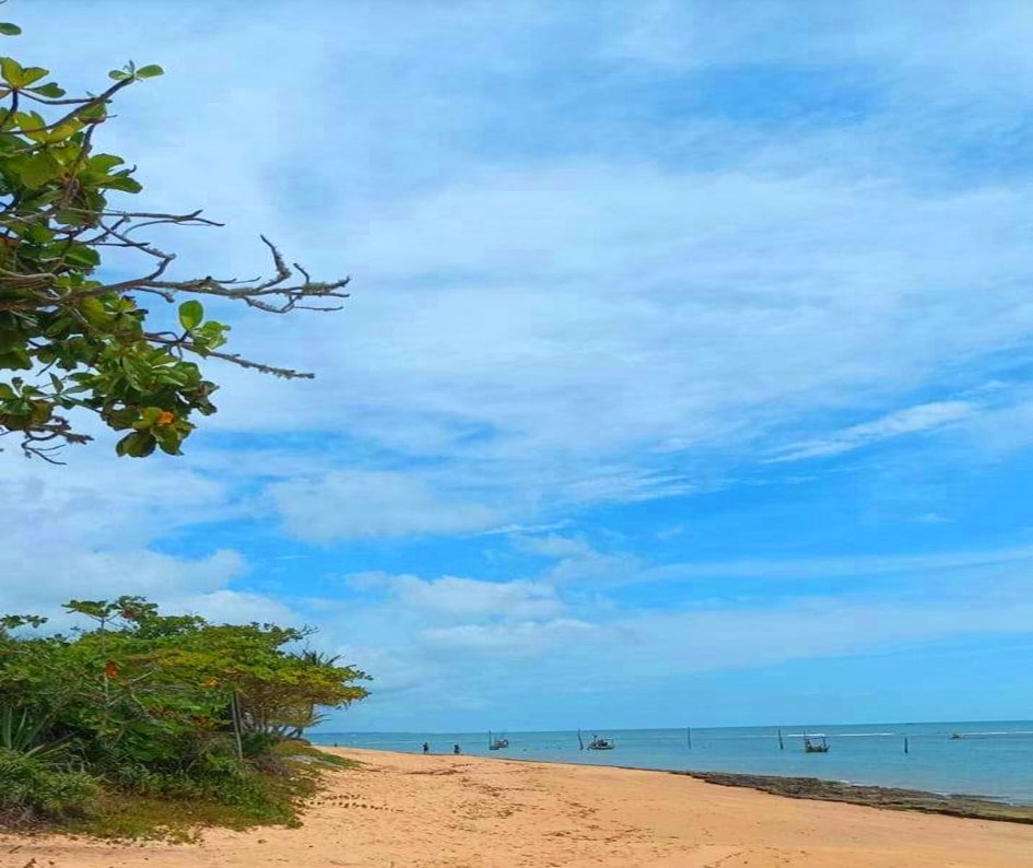 Passeio Buggy Caraíva - Buggy Caraíva (5).JPG